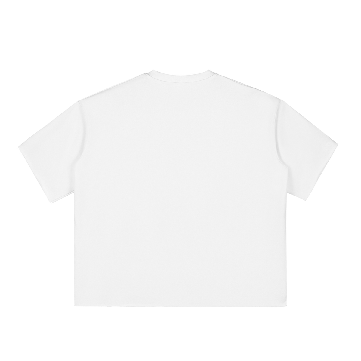 Mulini Embroidered Boxy Raw-Edge T